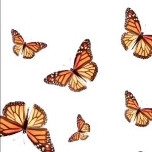 Meet your Posher, Alexia